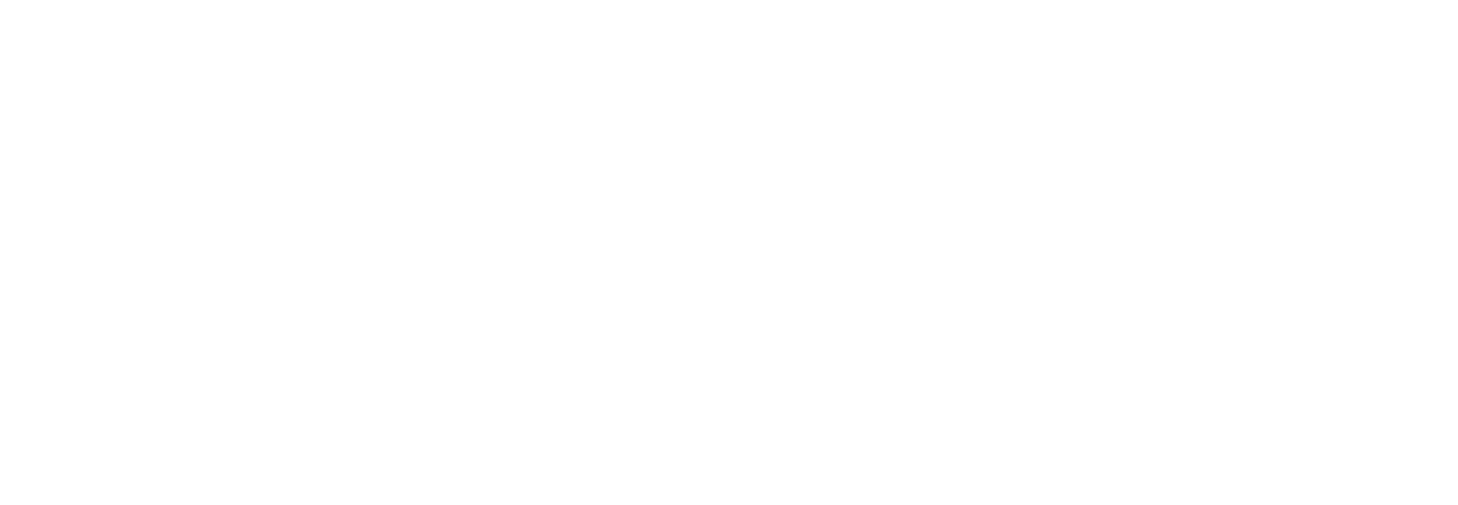 SD_LOGO_cursive_white